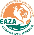 eaza